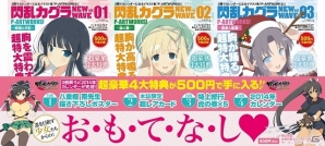 「閃乱カグラ NewWave」の4大特典がワンコインで手に入る！キャラクターアートワークスが全国のLAWSON店舗にて12月21日より3冊同時発売の画像4