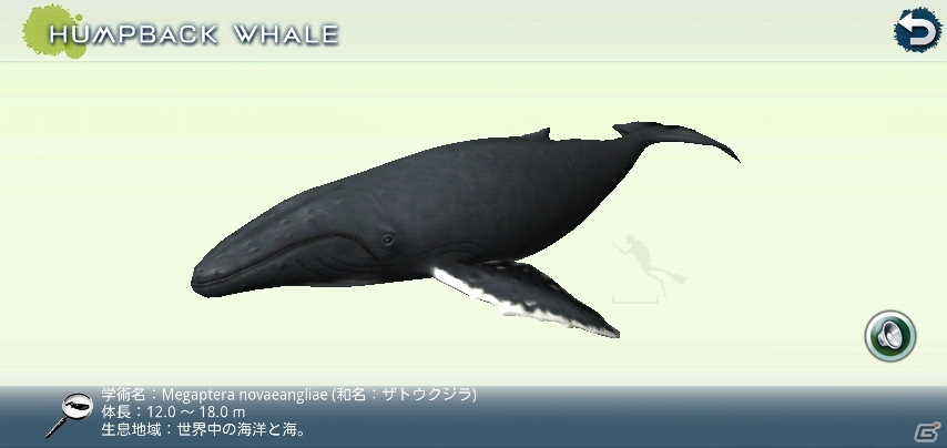 iOS/Android「REAL WHALES（リアルホエール）」を紹介！今週の注目スマートフォンゲームアプリ記事をチェック！の画像5