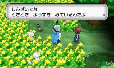 3DS「ポケットモンスター X・Y」新たなポケモンと3人のジムリーダーを紹介―ポケモン竜王戦決勝大会の詳細発表もの画像33