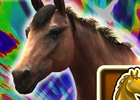 iOS/Android「ダービーオーナーズクラブ」大井競馬場で冠レースを実施！イベント特設ブースの出展やコラボドリンク「ダビオナフロート」の発売も
