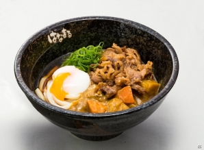 はなまる特製 龍うどん