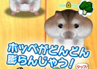 テンポよくエサをあげていくiOS「腹ペコ ハムスターズ」が配信―同社で実際に飼っているハムスターの生活がのぞけるライブ中継機能も！
