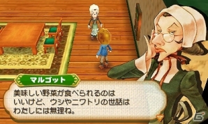3DS「牧場物語 つながる新天地」ギルドで働くヨーナス一家やお馴染みのコロボックルなど“樫の木タウン”の個性豊かな住人たちを紹介の画像4
