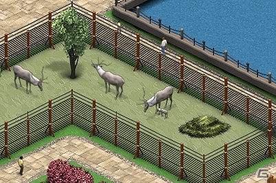 自分だけの動物園が作れる動物園運営シミュレーションゲーム！PC「ズー パーク 日本語版」ダウンロード版が本日より配信開始の画像18