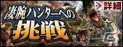 PS3/Xbox 360/Wii U/PC「モンスターハンター フロンティアG」新モンスター「メラギナス」を追加する「G3.2」アップデートを実施！キャンペーン、イベント情報を紹介の画像8