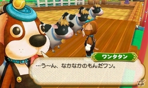 3DS「牧場物語 つながる新天地」お祭りイベントで登場する各プロフェッショナルの審査員「マツバ」「サフラン」「ワンタタン」を紹介の画像6