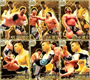 「激闘!!プロレスカードバトル」SRカード配信やイベントミッションが実施される「佐々木健介引退記念キャンペーン」開催の画像3
