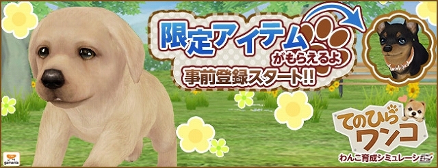 かわいい“わんこ”がスマートフォン上で飼育できる！iOS/Android「てのひらワンコ」が今春に配信決定―事前登録キャンペーンもスタートの画像2
