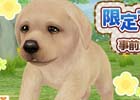 かわいい“わんこ”がスマートフォン上で飼育できる！iOS/Android「てのひらワンコ」が今春に配信決定―事前登録キャンペーンもスタート