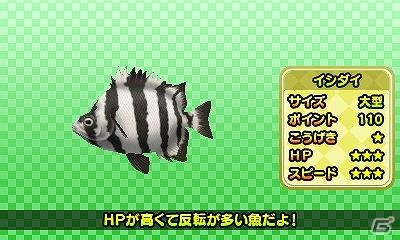 今度のおきらくシリーズは釣り＆テニス！3DS「おきらくフィッシング3D」＆Wii U「おきらくテニスSP」が3月12日に配信決定の画像19