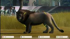 ボンヤリ眺めているだけなのに“なんて楽しい”―Xbox 360「Zoo Tycoon」教育への意識も備えた動物園経営SLGのプレイの様子を紹介の画像52