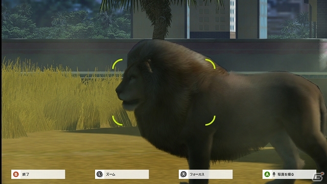 ボンヤリ眺めているだけなのに“なんて楽しい”―Xbox 360「Zoo Tycoon」教育への意識も備えた動物園経営SLGのプレイの様子を紹介の画像51