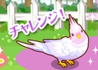 GREE「ハコニワ ふしぎな手紙とどうぶつ島」カラフルなインコやかわいらしい限定ハニー雑貨が初登場