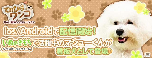 iOS/Android「てのひらワンコ」が配信開始！「いぬのきもち」で活躍中の“マシューくん”が看板犬として登場の画像1