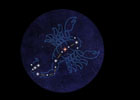 PS3/PC「大航海時代 Online ～Gran Atlas～」大型アップデートChapter 2「Astronomy」が4月1日に実施―新スキル「天文学」や所持制限枠拡張の情報も
