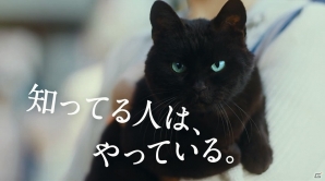 iOS/Android「クイズRPG 魔法使いと黒猫のウィズ」新テレビCM「魚屋編」3月22日より放映開始の画像1