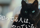 iOS/Android「クイズRPG 魔法使いと黒猫のウィズ」新テレビCM「魚屋編」3月22日より放映開始