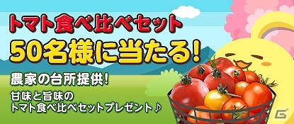 「ハッピーベジフル」農家の台所提供の「甘味と旨味のトマト食べ比べセット」プレゼントキャンペーン実施の画像1