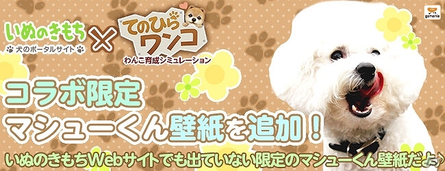 iOS/Android「てのひらワンコ」公式サイトにて看板犬マシューくんの限定壁紙が追加の画像2