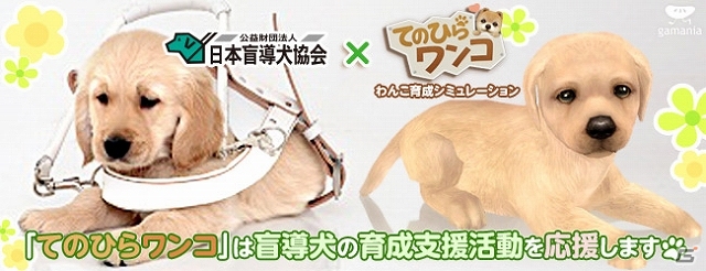 iOS/Android「てのひらワンコ」にて公益財団法人日本盲導犬協会の盲導犬の育成支援活動がスタートの画像1