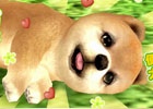 iOS/Android「てのひらワンコ」20万ダウンロード突破記念企画の第2弾！一部アイテムが特別価格で販売中