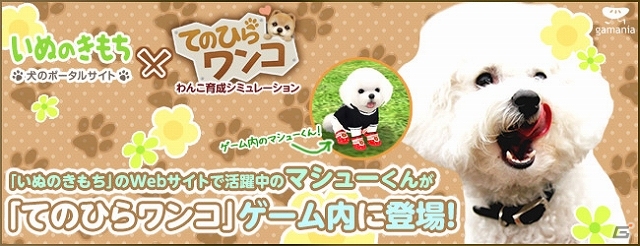 iOS/Android「てのひらワンコ」Webサイト「いぬのきもち」で活躍しているビション・フリーゼの“マシューくん”がゲーム内に登場の画像1