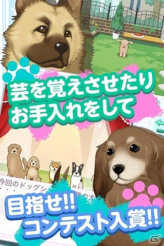 iOS/Android向け癒し系・犬育成ゲーム「ウチの犬～飼い主になってください～」が厳選コンテンツ＆auスマートパスにて配信決定の画像4