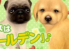 iOS/Android「てのひらワンコ」週替わりわんこが更新！育成に便利なアイテムなどをプレゼントする「スプリングキャンペーン」も開催
