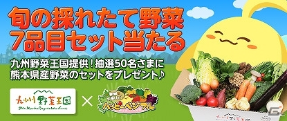 「ハッピーベジフル」九州野菜王国提供の「旬の採れたて熊本県産野菜7品目セット」プレゼントキャンペーン実施の画像1