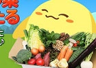 「ハッピーベジフル」九州野菜王国提供の「旬の採れたて熊本県産野菜7品目セット」プレゼントキャンペーン実施