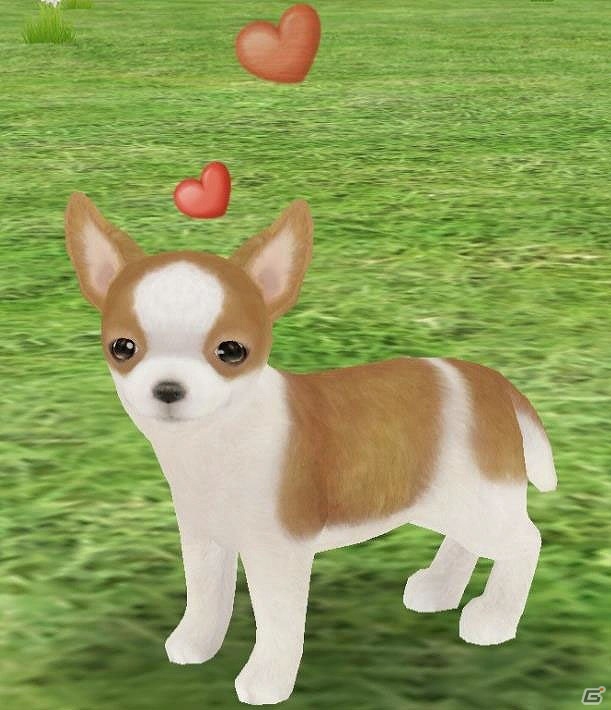 iOS/Android「てのひらワンコ」VIPボーナスのグレードアップを実施！お得なパックも登場の画像3