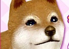iOS/Android「てのひらワンコ」秋田犬がゲットできるチャンス！「ハチ公冒険イベント」が開催