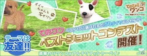 iOS/Android「てのひらワンコ」にて「ベストショットコンテスト」が開催！入賞者にはダイヤのプレゼントもの画像1