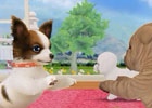 iOS/Android「てのひらワンコ」にて「ベストショットコンテスト」が開催！入賞者にはダイヤのプレゼントも