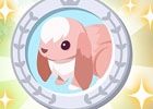 GREE「ハコニワ ふしぎな手紙とどうぶつ島」新ミニゲーム「宝物さがし」が追加！同時に「新ミニゲームリリース記念キャンペーン」も開始