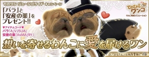iOS/Android「てのひらワンコ」わんこたちの結婚を支援する「ジューンブライド」キャンペーンが実施の画像1