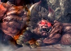 PS Vita「ソウル・サクリファイス デルタ」の魔法使いたちがゴウエンマ、ダイテンマに挑む―「討鬼伝」とのコラボレーションがスタート！