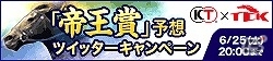 「Winning Post8」「100万人のWinning Post」「ギャロップレーサー」が東京シティ競馬とコラボ！冠レースやツイッターキャンペーンなどを開催の画像2