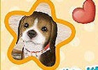 iOS/Android「てのひらワンコ」友達招待報酬が「ダイヤ」に変更！アップデート「広げよう♪友わんこの輪」が実施