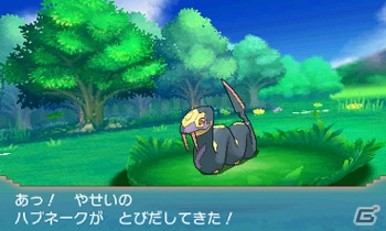3DS「ポケットモンスター オメガルビー・アルファサファイア」旅の目的とホウエン地方で待ち受けるポケモントレーナーたちを紹介！の画像15