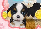 iOS/Android「てのひらワンコ」入手できるコインや経験値を増加するアップデート「ご褒美＄ザックザクだワン♪」が実施