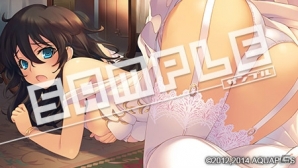 PS Vita「ダンジョントラベラーズ2 王立図書館とマモノの封印」描き下ろしイラストを含む16種の店舗特典第1弾が公開！の画像5