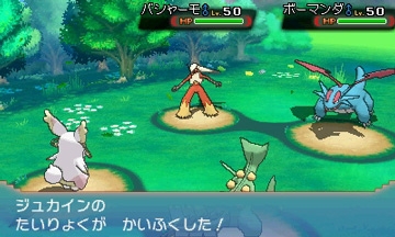3DS「ポケットモンスター オメガルビー・アルファサファイア」の新メガシンカポケモン・メガヤドランとメガタブンネを紹介！の画像24