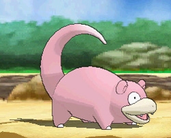 3DS「ポケットモンスター オメガルビー・アルファサファイア」の新メガシンカポケモン・メガヤドランとメガタブンネを紹介！の画像7
