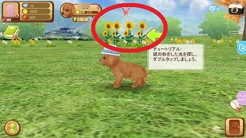 iOS/Android「てのひらワンコ」60万ダウンロード突破記念キャンペーンが開催！ダイヤ30個がもらえるアイテムコードを公開の画像9
