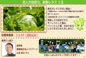 iOS/Android「畑っぴ」産地直送のレタスが手に入るイベント「夏の終わりの収穫祭」が開催の画像2