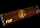 「モンスターハンター」とギターメーカー「ESP」がコラボ！炎剣リオレウスを模したギターが本日9月5日より予約受付を開始