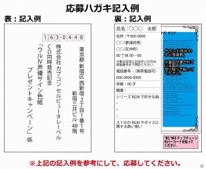 「ストリートファイターIVシリーズ サウンドBOX」＆「ストリートファイター コンピレーション “RE:”MIX チップチューン」同時発売記念プレゼントキャンペーンが実施の画像4