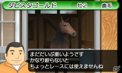 3DS「ダービースタリオンGOLD」インターネット接続で全国のユーザーと競い合う「インターレース」を紹介！新たに登場するおもな種牡馬もチェックの画像19