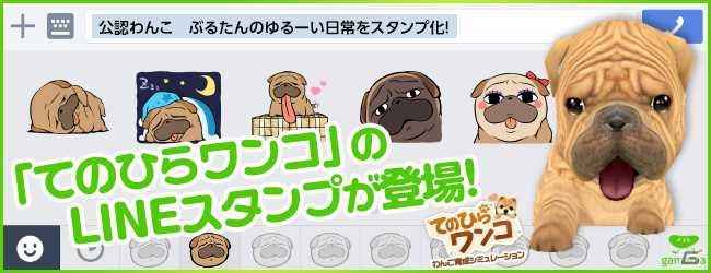 iOS/Android「てのひらワンコ」公式わんこ「ぶるたん」のLINEスタンプが配信の画像1